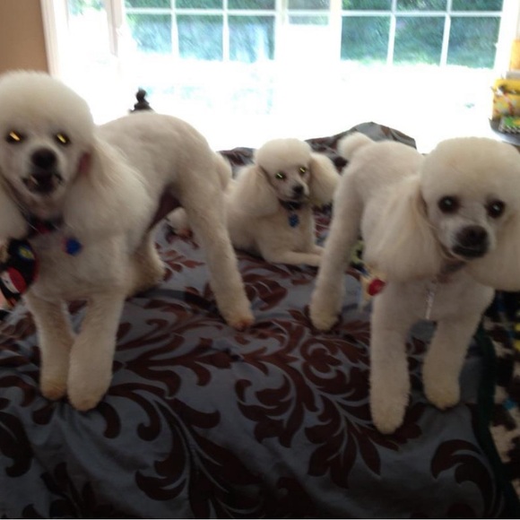 Up to 30% Off entire closet… don’t miss out! Make Me An Offer!! - Picture 7 of 15